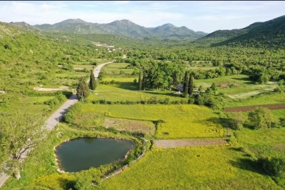 WhatsApp Image 2025-08-07 at 14.39.36 (3).jpeg